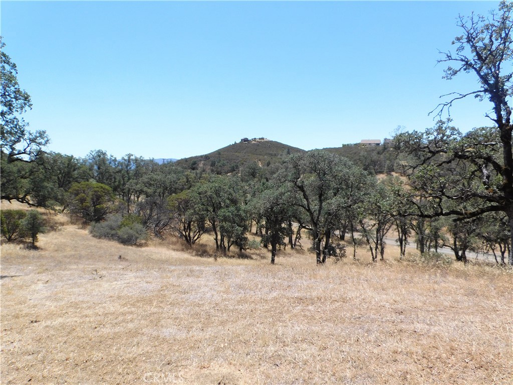 997 Watertrough Rd Property Photo 13