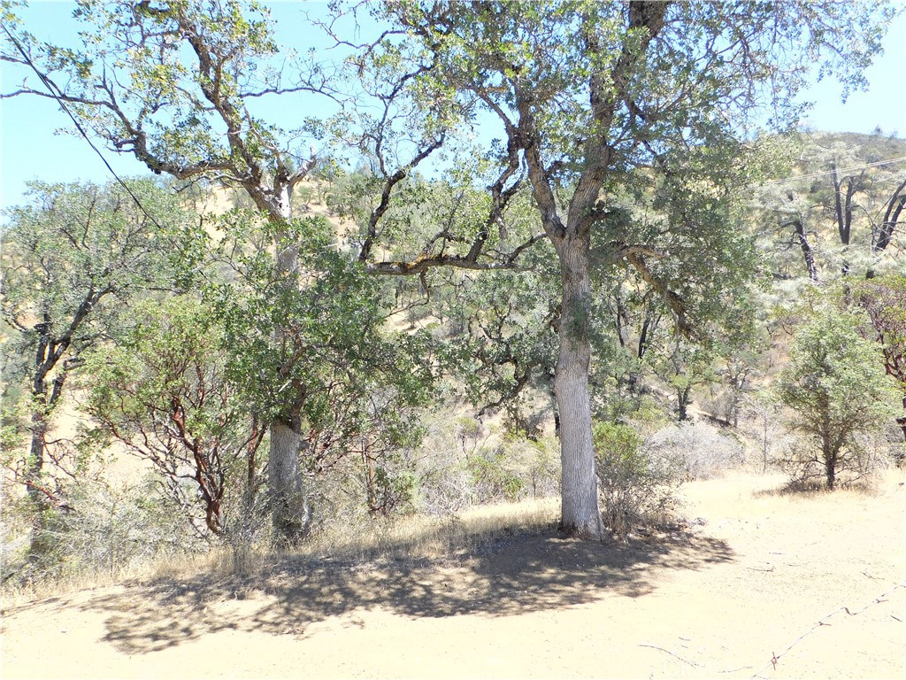 997 Watertrough Rd Property Photo 14