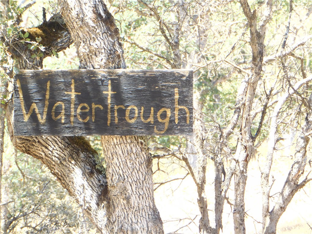 997 Watertrough Rd Property Photo 17