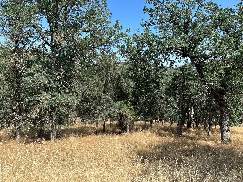 18051 Vista Point Court Property Photo 1