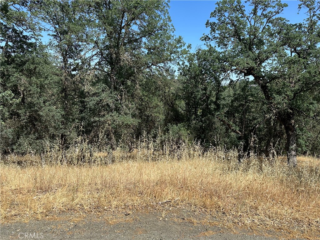 18051 Vista Point Court Property Photo 2
