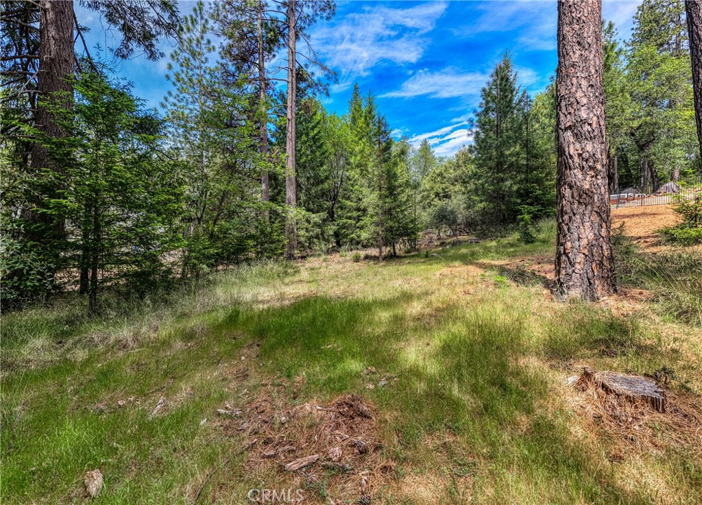 8833 Fox Drive Property Photo 4