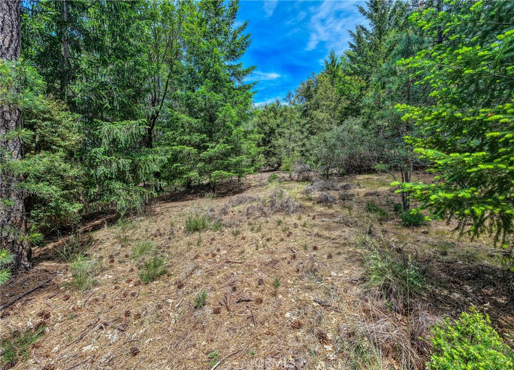 8833 Fox Drive Property Photo 5