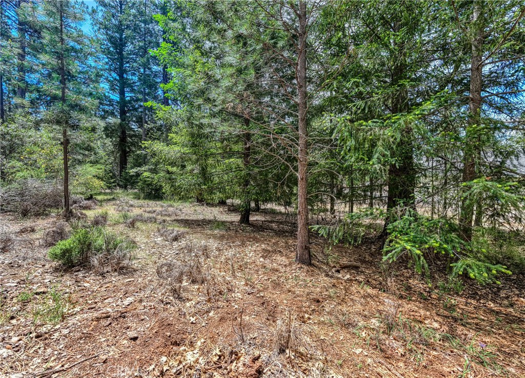 8833 Fox Drive Property Photo 6