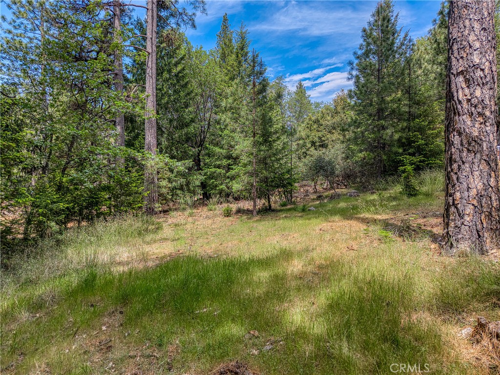 8833 Fox Drive Property Photo 7