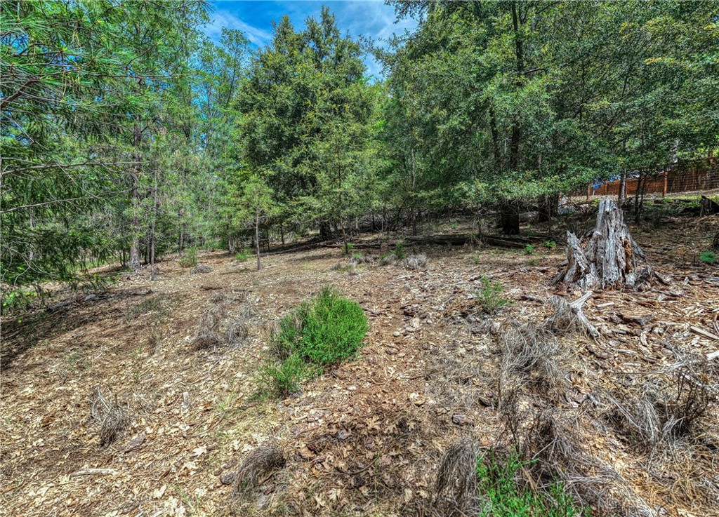 8833 Fox Drive Property Photo 12