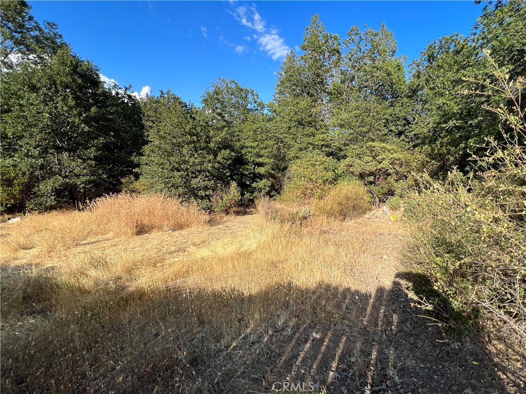 9204 Diamond Dust Trail Property Photo 1