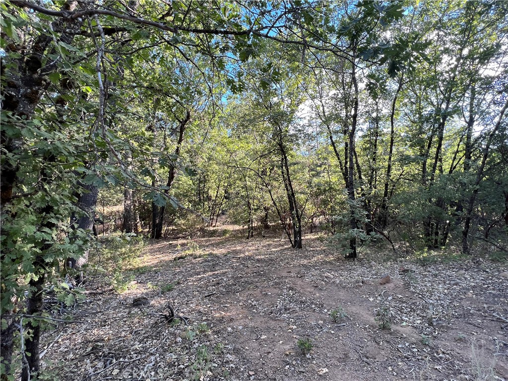 9204 Diamond Dust Trail Property Photo 3