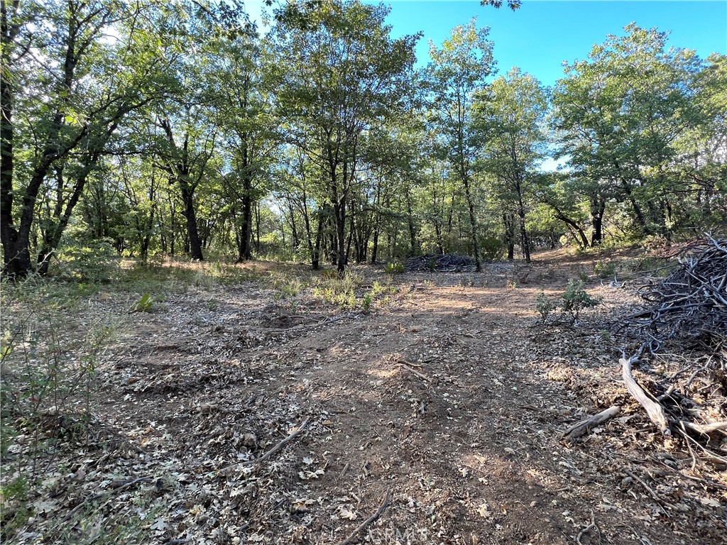 9204 Diamond Dust Trail Property Photo 4