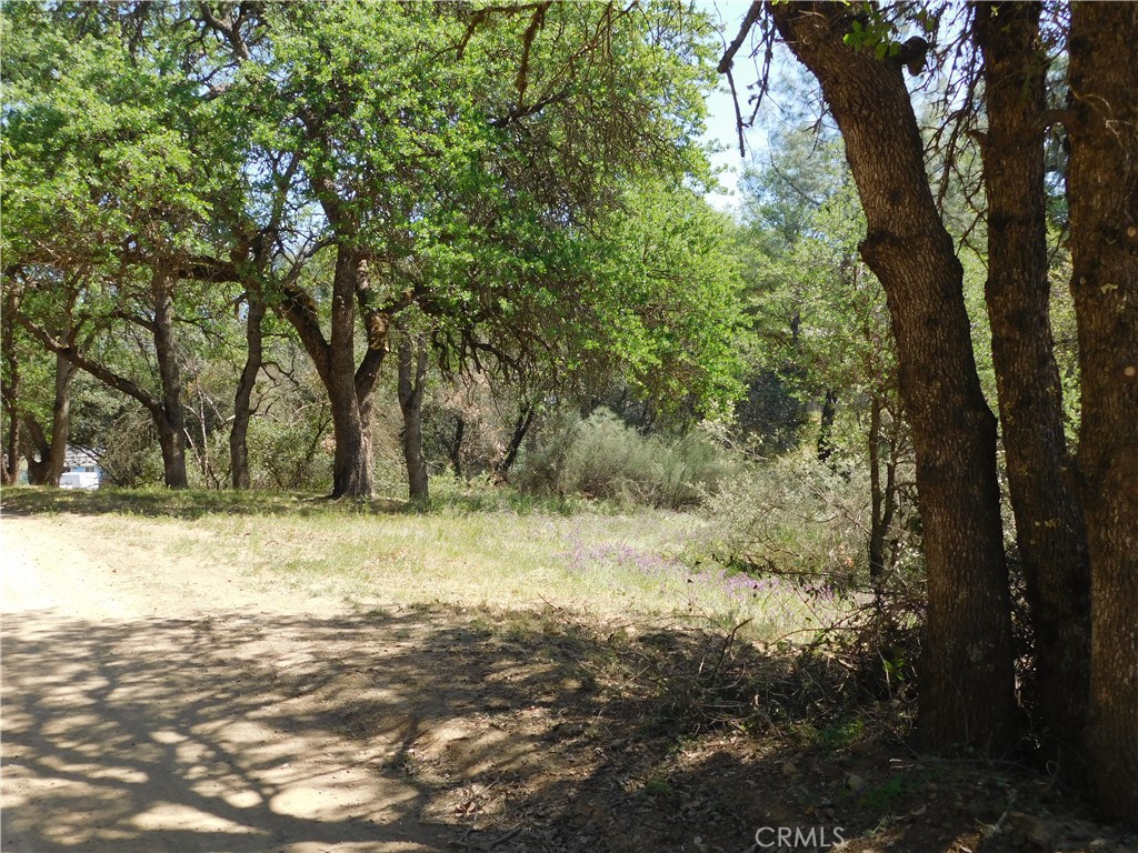 15773 39th Avenue Property Photo 1