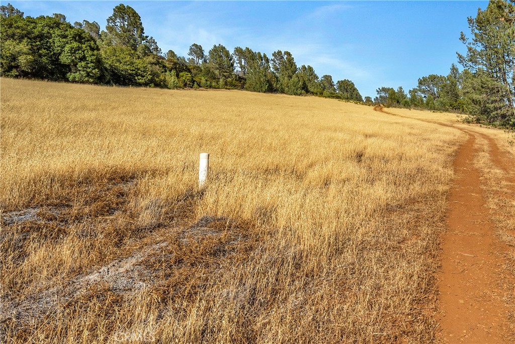 20102 Jaclyn Drive Property Photo 3