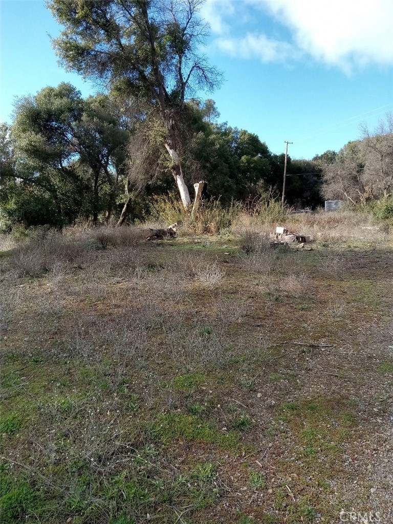 16357 2nd Avenue Property Photo 3