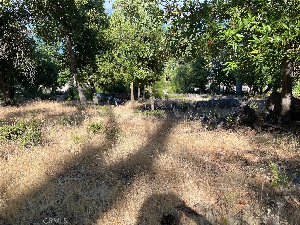 3607 Pine Terrace Drive Property Photo 1