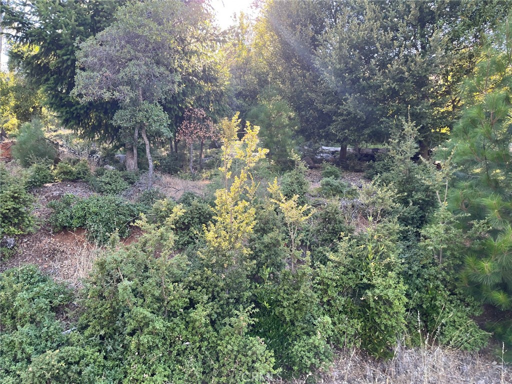 3607 Pine Terrace Drive Property Photo 2