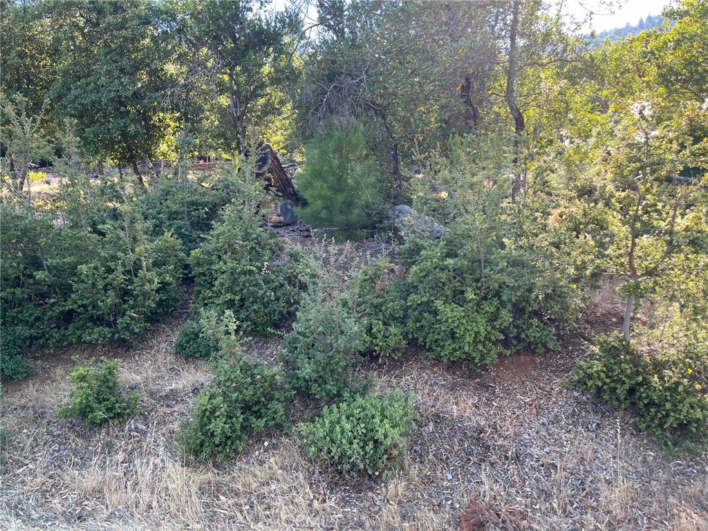 3607 Pine Terrace Drive Property Photo 4