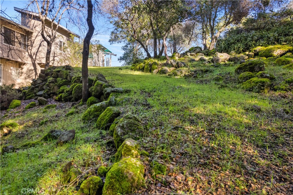 10849 Northslope Drive Property Photo 43