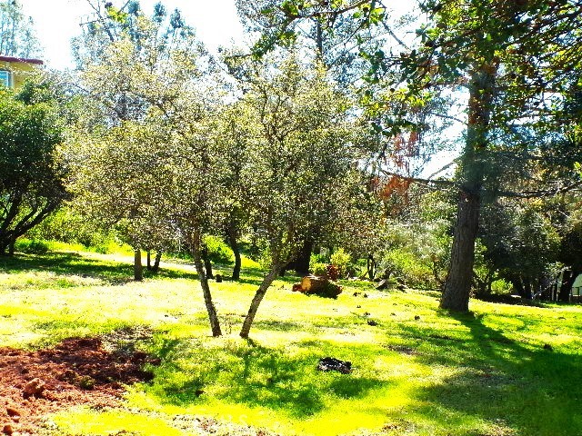 11083 Wheeler Property Photo 3