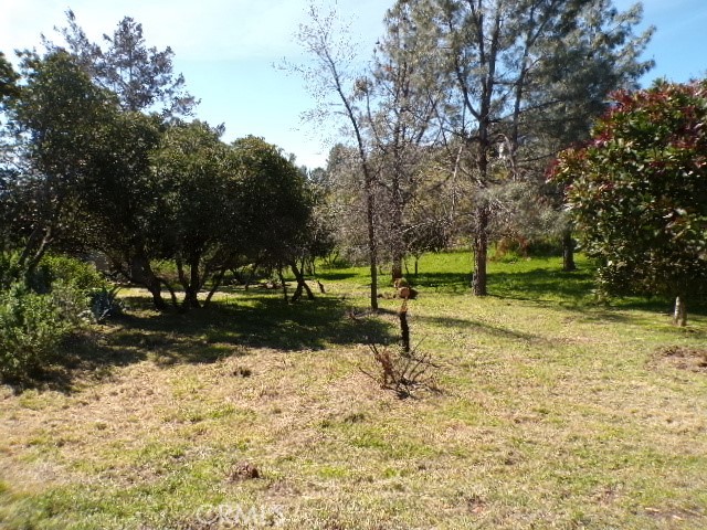 11083 Wheeler Property Photo 5