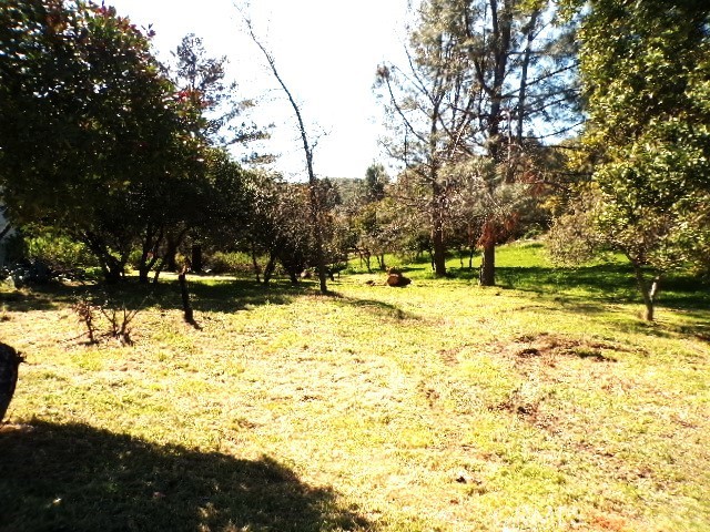 11083 Wheeler Property Photo 6