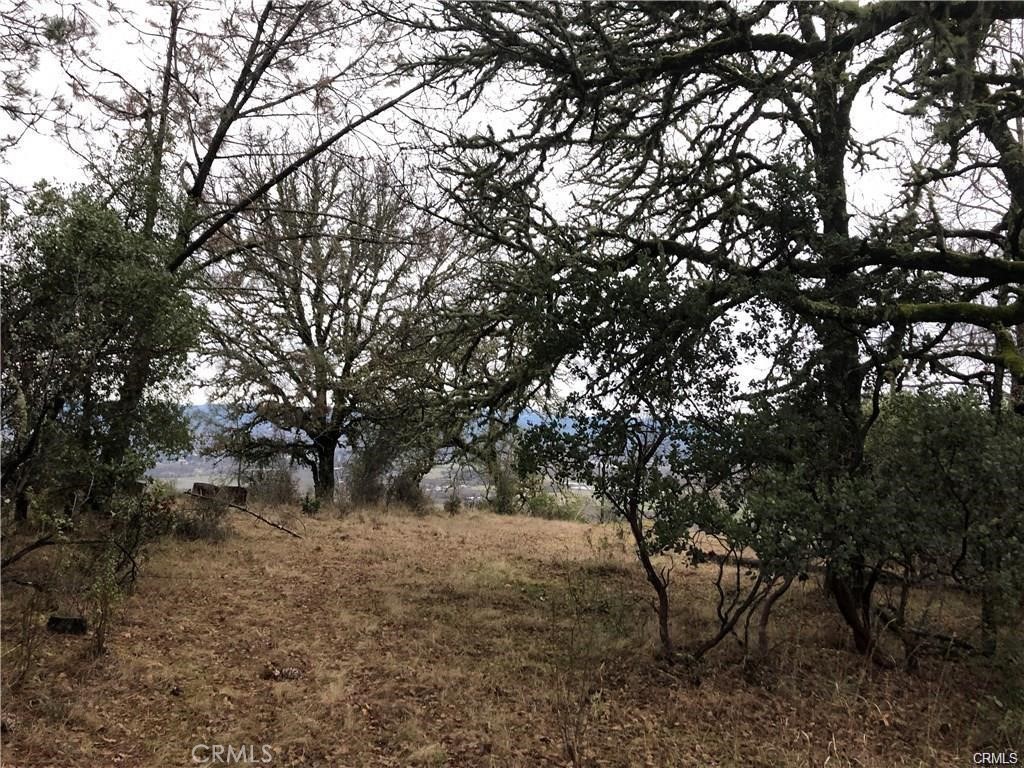 3643 Glebe Road Property Photo 2