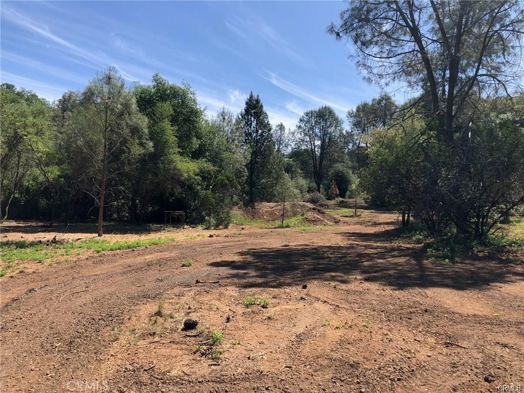 3643 Glebe Road Property Photo 4