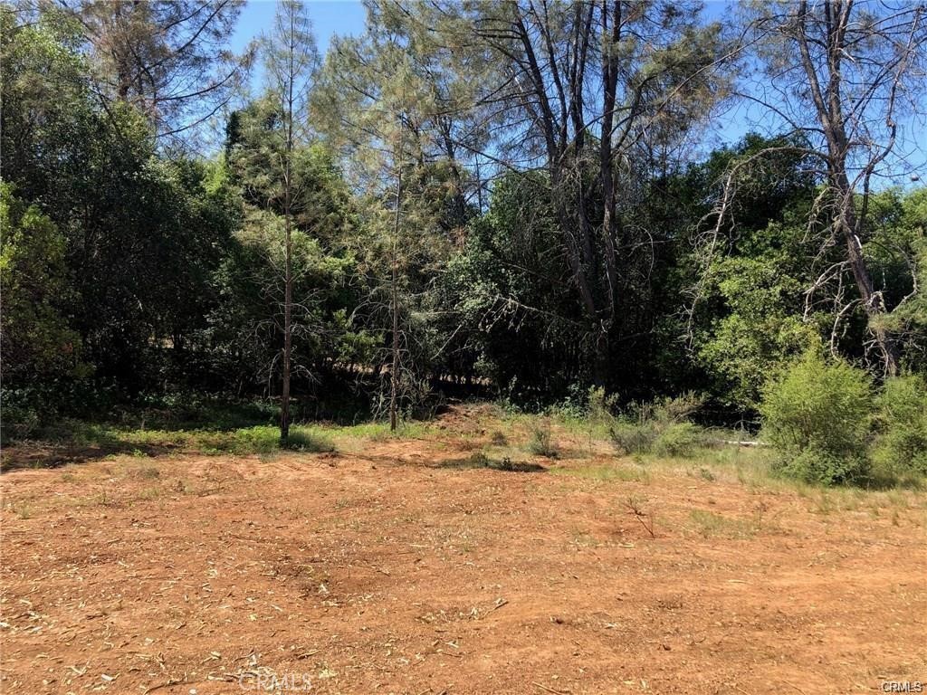 3643 Glebe Road Property Photo 5