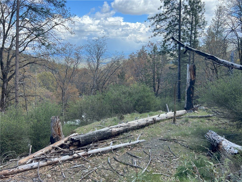11260 Loch Lomond Road Property Photo 3