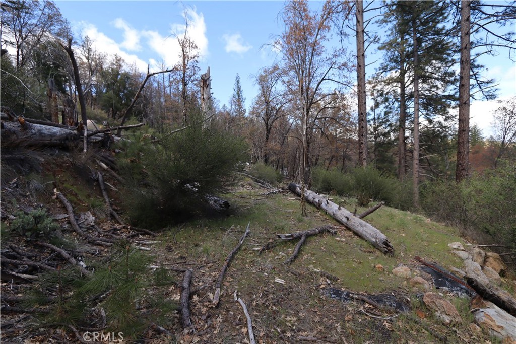 11260 Loch Lomond Road Property Photo 7