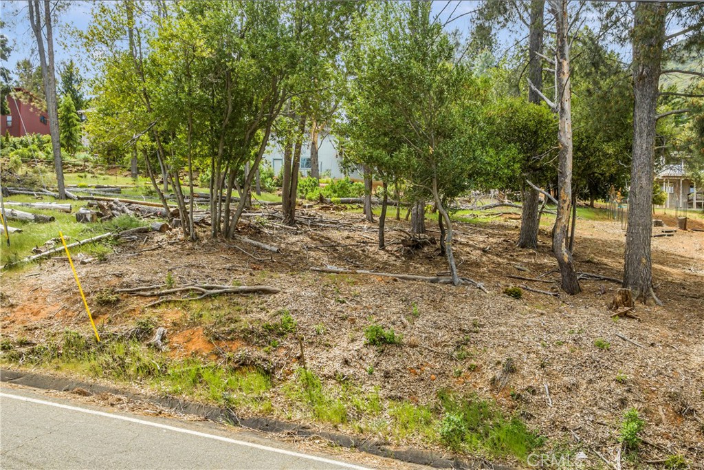 3511 Knob Cone Drive Property Photo 6