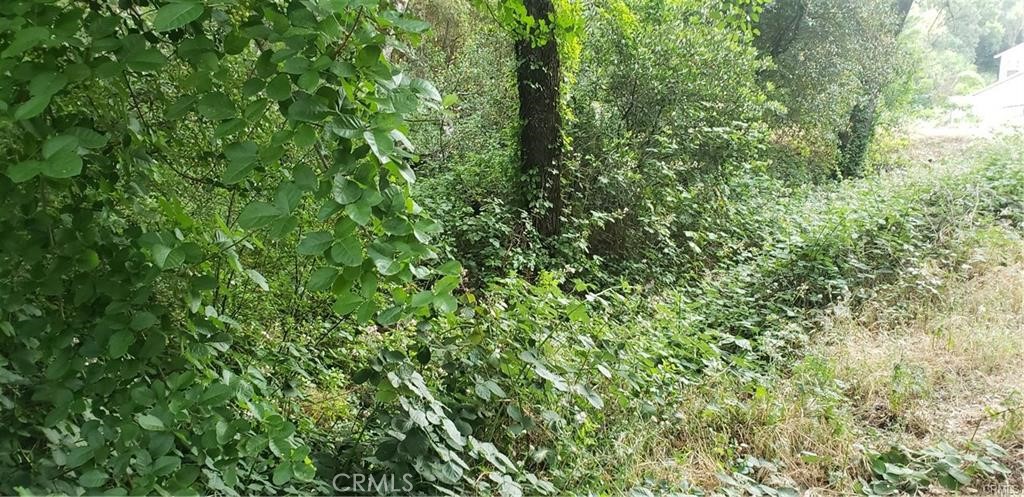 7248 High Street Property Photo 6