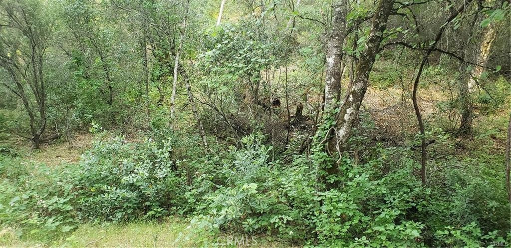 7248 High Street Property Photo 7