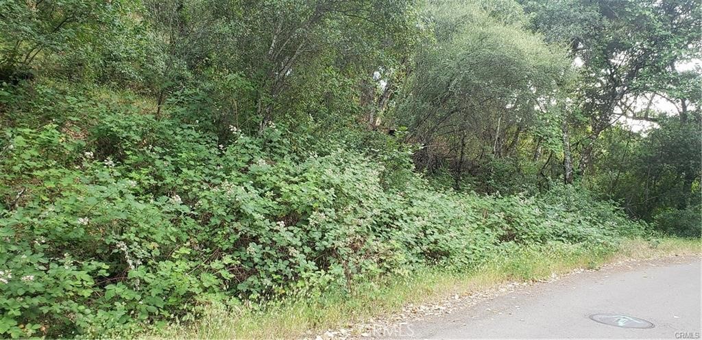 7248 High Street Property Photo 10