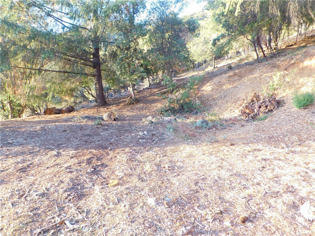 8431 Mountain Crest Drive Property Photo 2