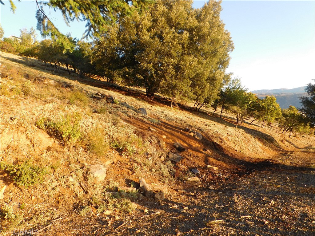 8431 Mountain Crest Drive Property Photo 3
