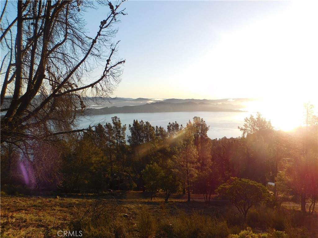 8431 Mountain Crest Drive Property Photo 4