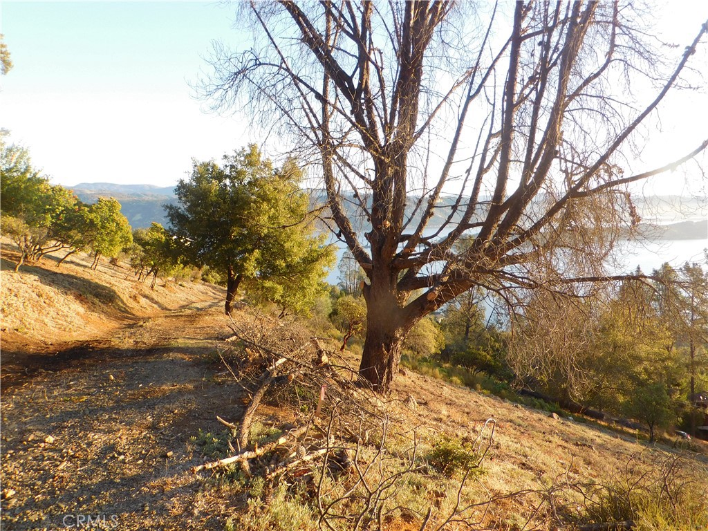 8431 Mountain Crest Drive Property Photo 5
