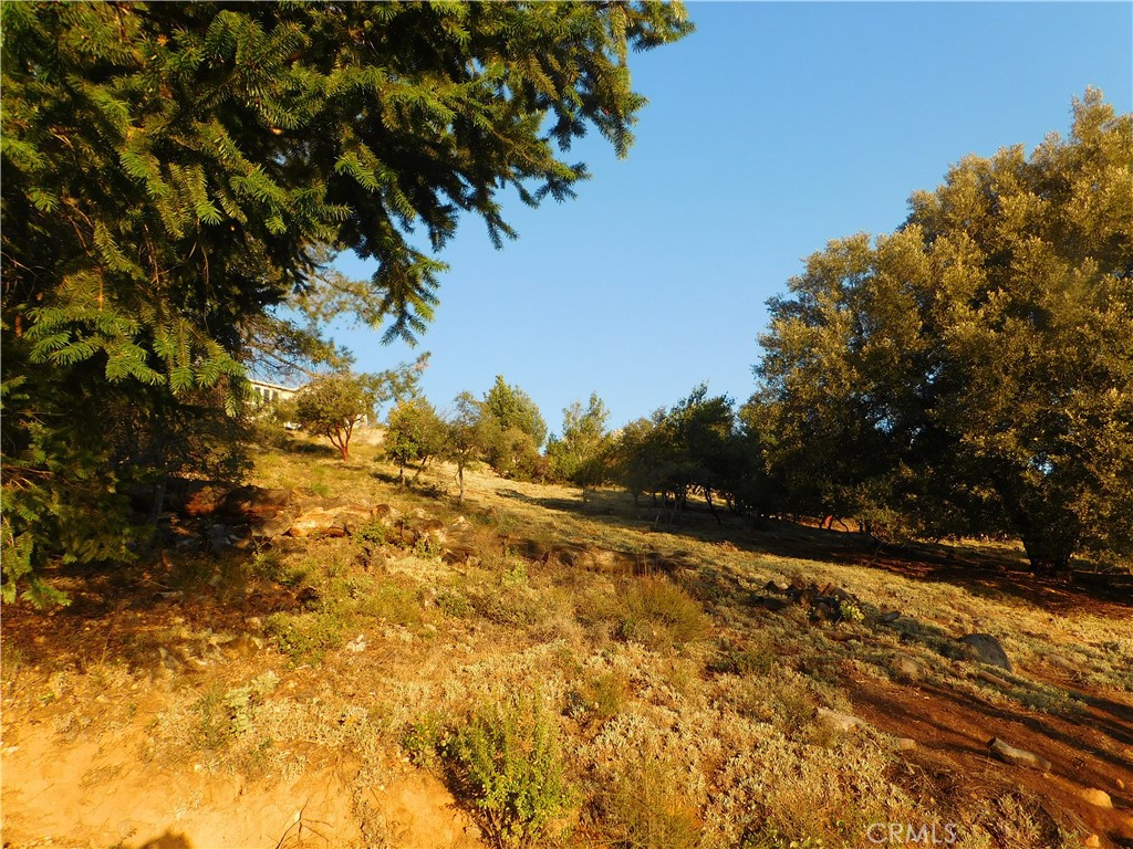 8431 Mountain Crest Drive Property Photo 6