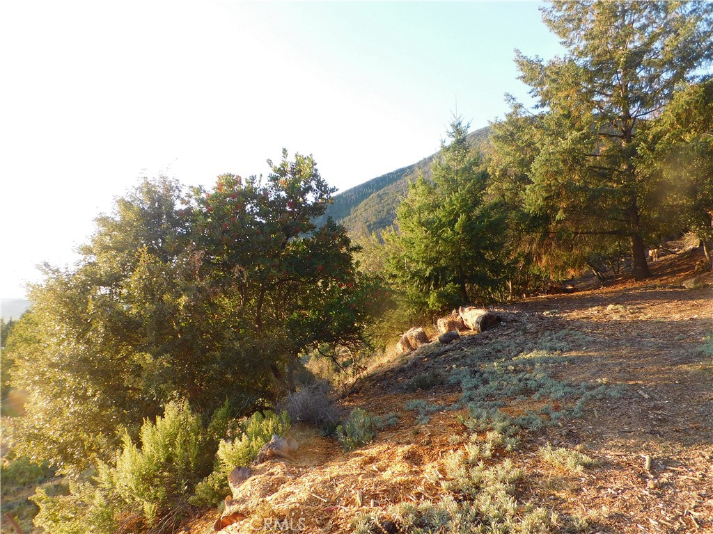 8431 Mountain Crest Drive Property Photo 7