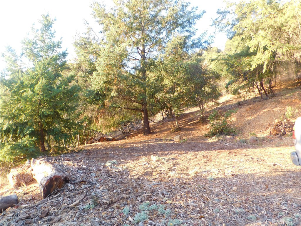 8431 Mountain Crest Drive Property Photo 8