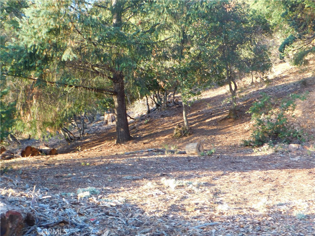 8431 Mountain Crest Drive Property Photo 10