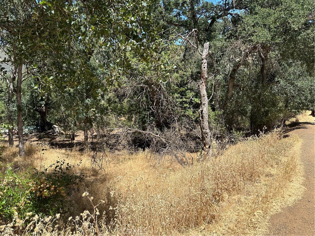 13020 Ridge Street Property Photo 1