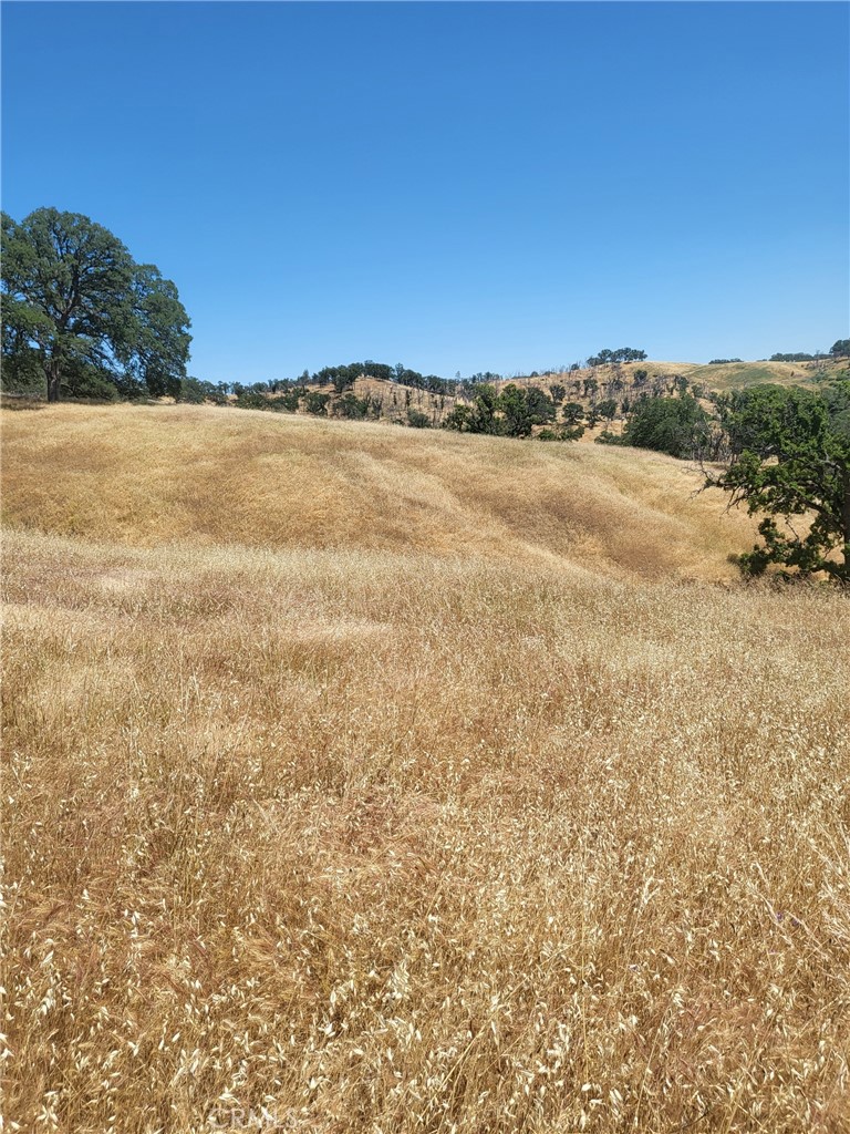 21500 Morgan Valley Road Property Photo 1