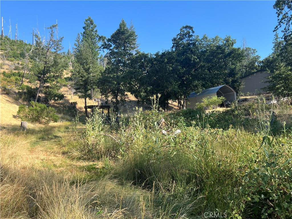 14533 Snead Drive Property Photo 3