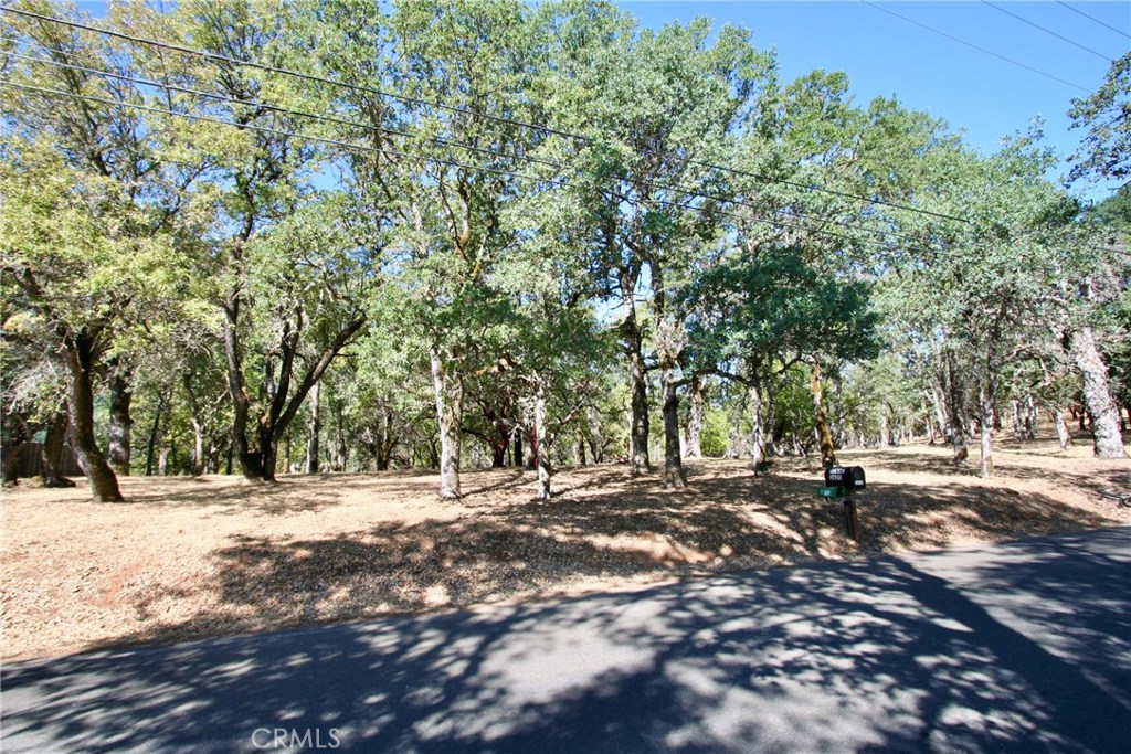 2625 Eastlake Drive Property Photo 3