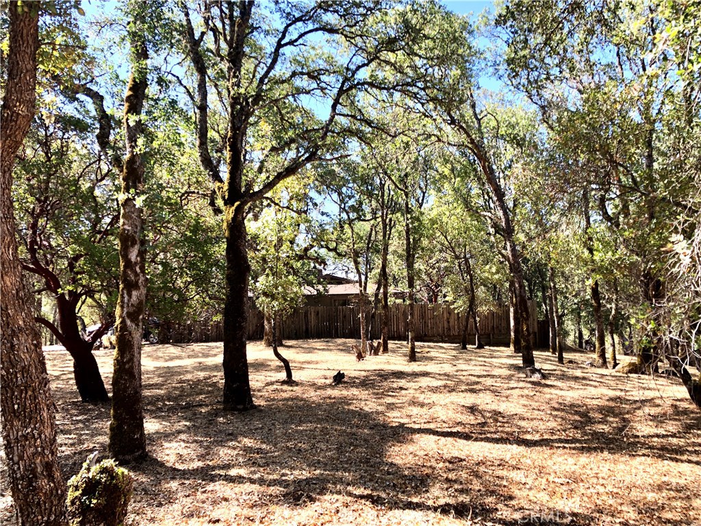 2625 Eastlake Drive Property Photo 5