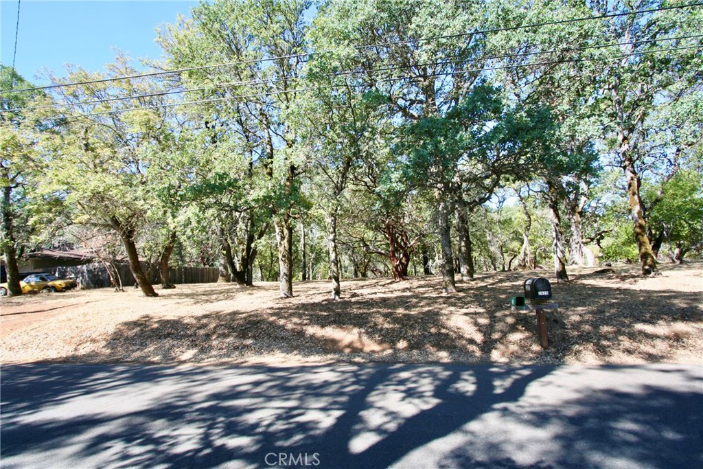 2625 Eastlake Drive Property Photo 7