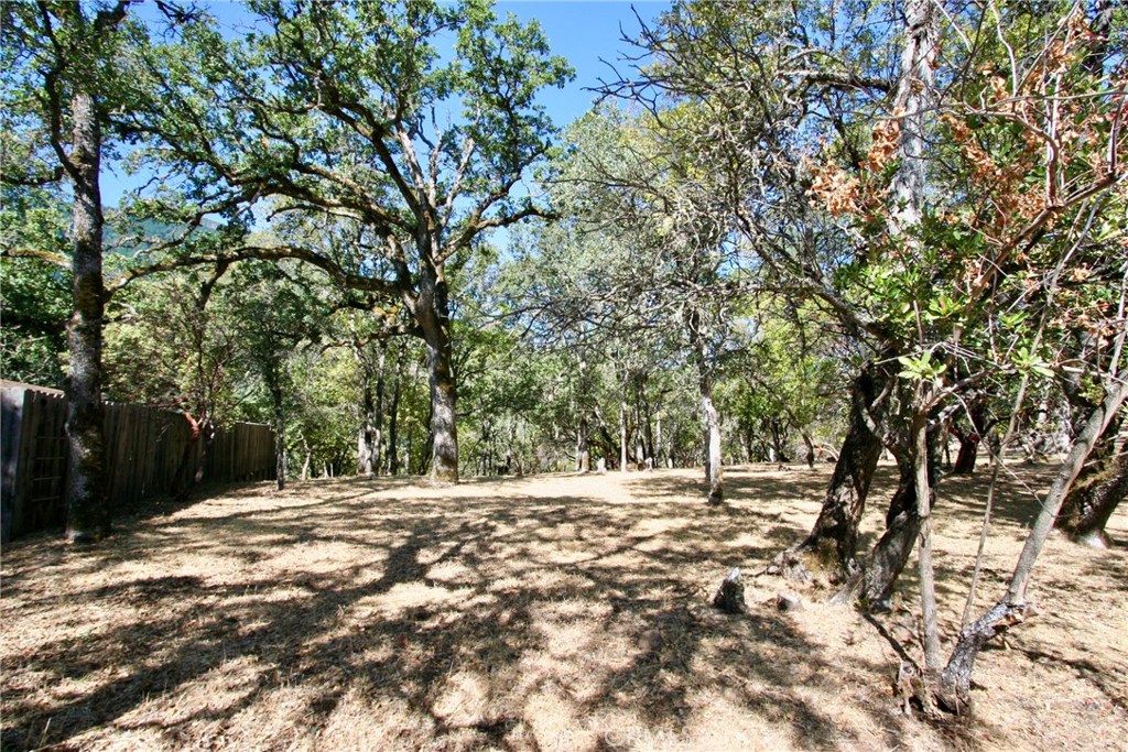 2625 Eastlake Drive Property Photo 8
