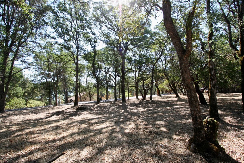 2625 Eastlake Drive Property Photo 10