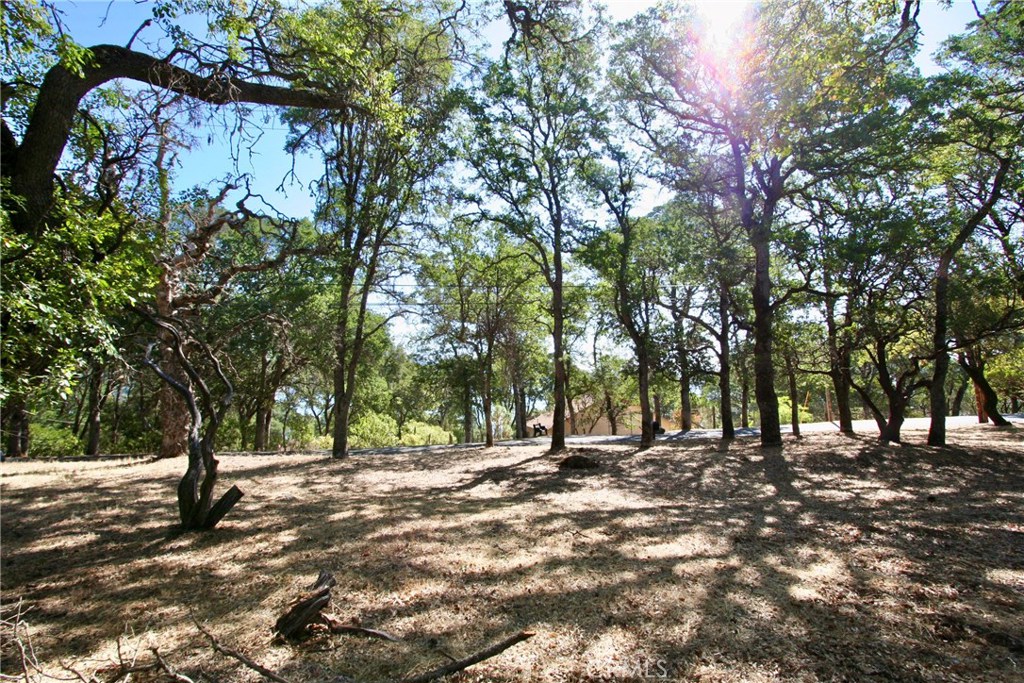 2625 Eastlake Drive Property Photo 11