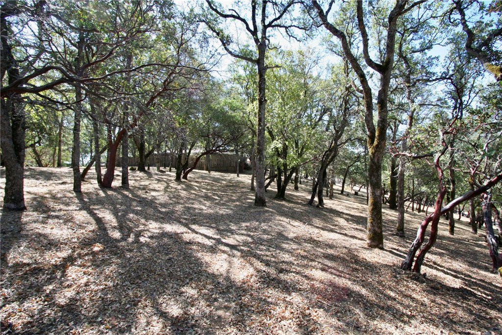 2625 Eastlake Drive Property Photo 16